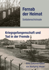 Fernab der Heimat Soldatenschicksale - Wolfgang Meyer - E-Book