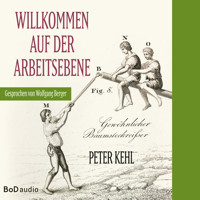 Willkommen auf der Arbeitsebene (Ungekürzt) - Peter Kehl - Hörbuch