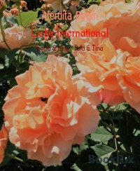 Liebe International - Aferdita Beqiri - E-Book