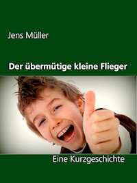 Der übermütige kleine Flieger - Jens Müller - E-Book