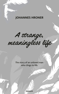A strange, meaningless life - Johannes Hroner - E-Book