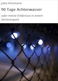 90 Tage Achterwasser - Jutta Hinzmann - E-Book