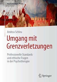 Umgang mit Grenzverletzungen - Andrea Schleu - E-Book