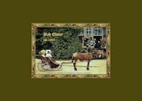 Bad Elster - Hans Georg Hoyer - E-Book