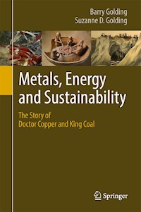 Metals, Energy and Sustainability - Barry Golding - E-Book