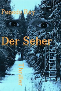 Der Seher - Markus Penedo Rey - E-Book