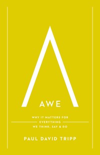 Awe - Paul David Tripp - E-Book