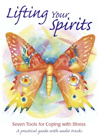 Lifting Your Spirits - Jan Alcoe - E-Book