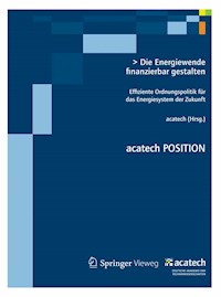 Die Energiewende finanzierbar gestalten -  - E-Book