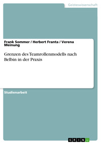 Grenzen des Teamrollenmodells nach Belbin in der Praxis - Frank Sommer - E-Book