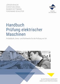 Handbuch Prüfung elektrischer Maschinen - Jürgen Bialek - E-Book