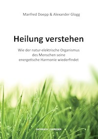 Heilung verstehen - Alexander Glogg - E-Book