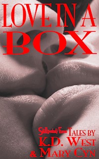 Love in a Box - Mary Cyn - E-Book
