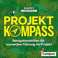 Projekt-Kompass - Mario Neumann - Hörbuch