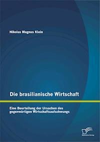 Die brasilianische Wirtschaft: Eine Beurteilung der Ursachen des gegenwärtigen Wirtschaftsaufschwungs - Nikolas Magnus Klein - E-Book