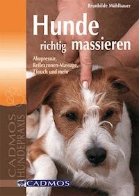 Hunde richtig massieren - Brunhilde Mühlbauer - E-Book