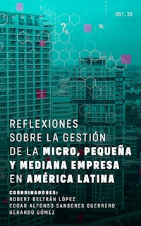 Reflexiones sobre la gestión de la micro, pequeña y mediana empresa en América Latina - Robert Beltrán López - kostenlos E-Book