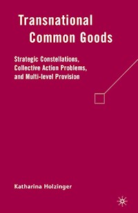 Transnational Common Goods - K. Holzinger - E-Book