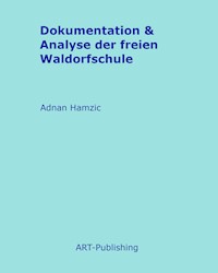 Dokumentation & Analyse der freien Waldorfschule - Adnan Hamzic - E-Book