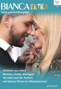 Bianca Extra Band 53 - GINA WILKINS - E-Book