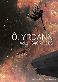 Ô, Yrdann 1 - Hadrien Sins - E-Book