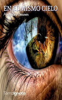 En el mismo cielo - Alejandro Briones - E-Book