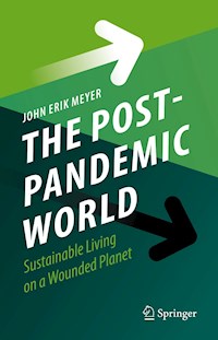 The Post-Pandemic World - John Erik Meyer - E-Book