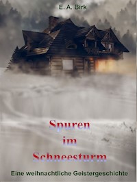 Spuren im Schneesturm - E. A. Birk - E-Book