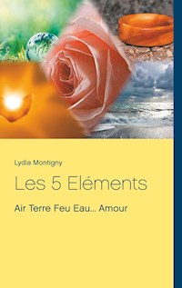 Les 5 Eléments - Lydia Montigny - E-Book