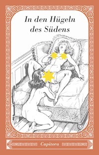 In den Hügeln des Südens - Anonym - E-Book