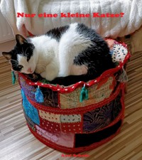 Nur eine kleine Katze? - Axel Schade - E-Book