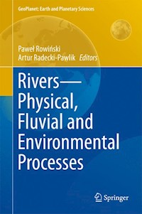 Rivers – Physical, Fluvial and Environmental Processes -  - E-Book