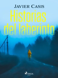 Historias del laberinto - Javier Casis - E-Book