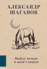 Выйду ночью в поле с конем - Александр Шаганов - E-Book