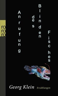 Anrufung des Blinden Fisches - Georg Klein - E-Book