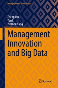 Management Innovation and Big Data - Zheng Qin - E-Book