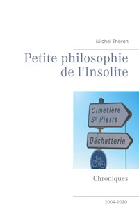 Petite philosophie de l'Insolite - Michel Théron - E-Book