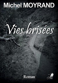 Vies Brisées - Michel Moyrand - E-Book
