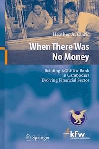 When There Was No Money - Heather A. Clark - E-Book