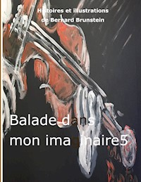 balade dans mon imaginaire 5 - Bernard Brunstein - E-Book