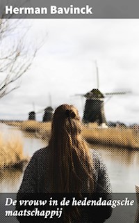 De vrouw in de hedendaagsche maatschappij - Herman Bavinck - E-Book