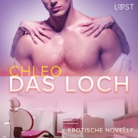 Das Loch – Erotische Novelle - Chleo - Hörbuch