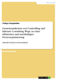 Gemeinsamkeiten von Controlling und Inhouse Consulting. Wege zu einer effizienten und nachhaltigen Prozessoptimierung - Yuliya Vasylenko - E-Book
