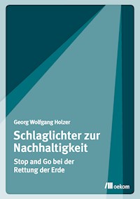 Schlaglichter zur Nachhaltigkeit - Georg Wolfgang Holzer - E-Book