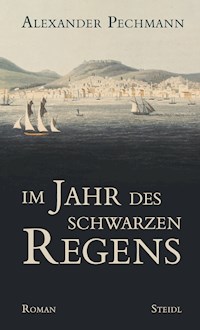 Im Jahr des schwarzen Regens - Alexander Pechmann - E-Book