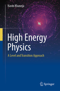 High Energy Physics - Navin Khaneja - E-Book