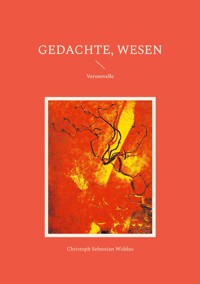 Gedachte, Wesen - Christoph Sebastian Widdau - E-Book