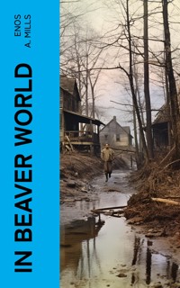 In Beaver World - Enos A. Mills - E-Book