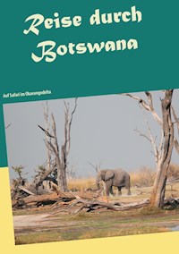 Reise durch Botswana - Jürg Roos - E-Book