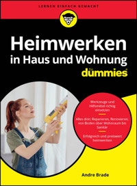 Heimwerken in Haus und Wohnung für Dummies - Andre Brade - E-Book
